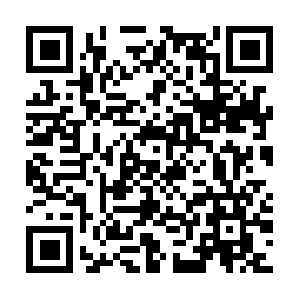 Lewisenglishbulldogpuppyluvtrainingllc.com QR code