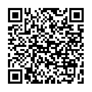 Leysegundaoportunidad-cantabria.com QR code