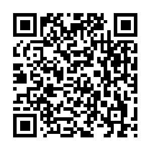 Lf21-geckocdn-sg.tiktokcdn.com.totolink QR code