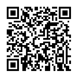 Lifeservicestoembracehealthandhappiness.com QR code