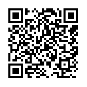 Lightpaintingpictures.com QR code