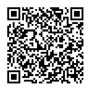 Likeimo.tech.getcacheddhcpresultsforcurrentconfig QR code