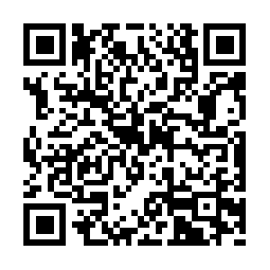 Limpezadefossasemvarzeapaulista.com QR code