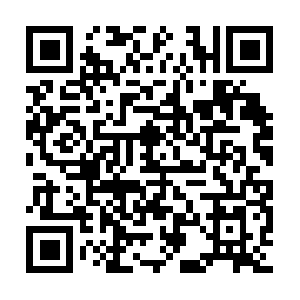 Links-public-service-live.ol.epicgames.com QR code