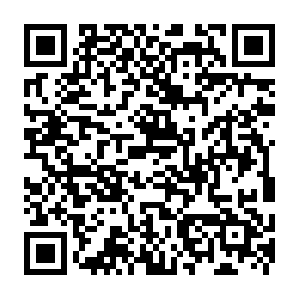 Live.shopee.ph.getcacheddhcpresultsforcurrentconfig QR code