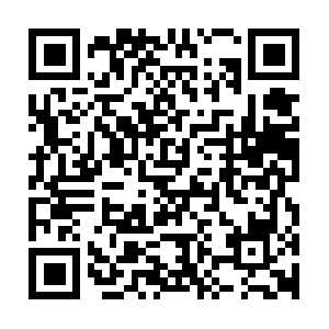 Live3828875002-report-api.zegocloud.com QR code