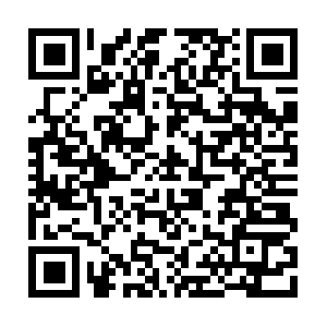 Live75.ddtgdingdongclubmultionline.com QR code