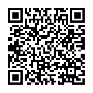 Liveupgradefreeforsystemspcandmaalike.pro QR code