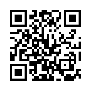 Localsteelerectors.com QR code