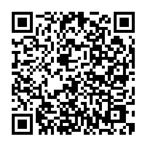 Locations-saisonnieres-ventes-saintremyprovence.com QR code