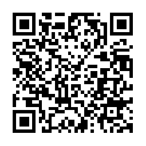 Logger.nerdwallet.com.cdn.cloudflare.net QR code