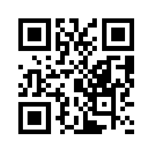 Loginbizz.com QR code