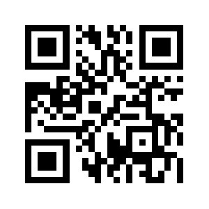 Loopycases.com QR code