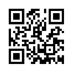 Lostys.com QR code