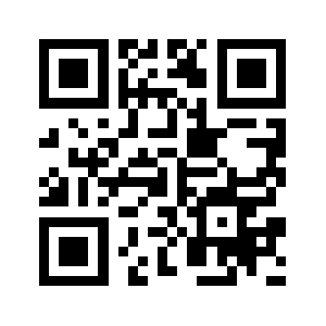 Lower9.com QR code