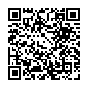 Lowereastsidepestcontrolexterminator.com QR code