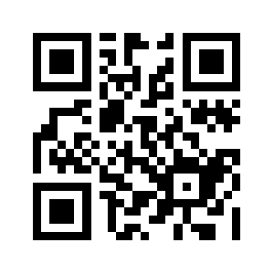 Lowsnug.com QR code