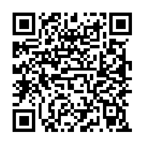 Ltd.dob.sibl.support-intelligence.net QR code