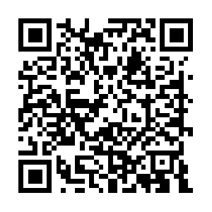 Luciaanselmi-commercialistanetworker.com QR code