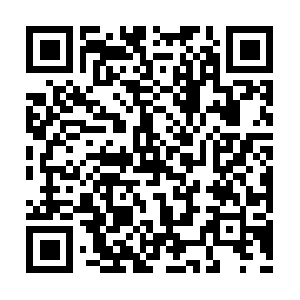 Lutrinaeprecelebrationpseudohyoscyamine.com QR code