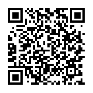 Luxury-villas-reefisland-bahrain.com QR code