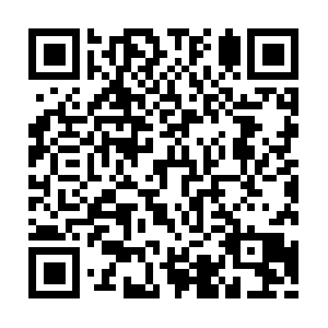 Ly.dob.sibl.support-intelligence.net QR code