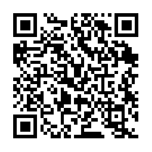 Maestria-seguridadymedioambiente.com QR code