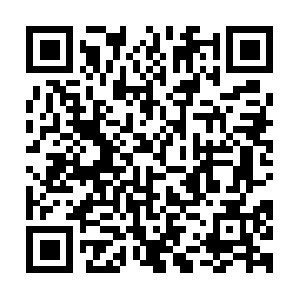 Maestromayordeobrasguillermogimenes.com QR code