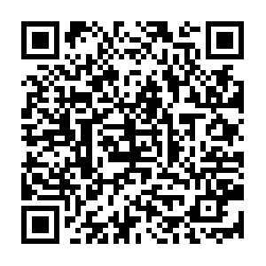 Maglev.production-dnaservices-2.tesseractcloud.com QR code