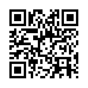 Magneetsystemen.com QR code