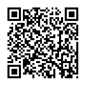 Mahanigamgas-electricgesyerservice.com QR code