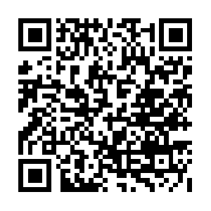 Makemathlogicpicturesinthebrainnotrules.com QR code