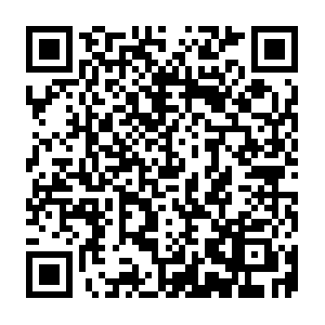Mall.shopee.ph.getcacheddhcpresultsforcurrentconfig QR code