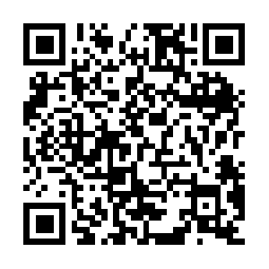 Manzanillosportsfishingcostarica.com QR code