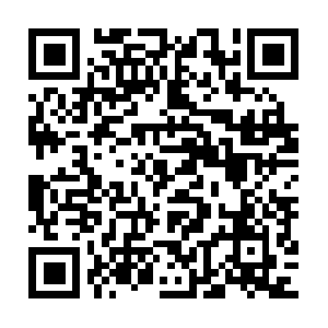 Marvelous-info-to-cacherolling-forth.info QR code