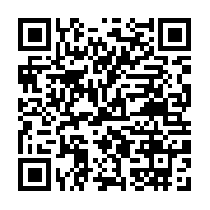 Masterthelanguageofbeingrelevantwithdogs.ca QR code