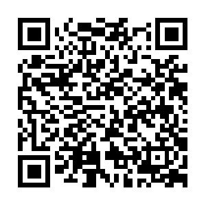 Materialityofbacterialcellulose.com QR code