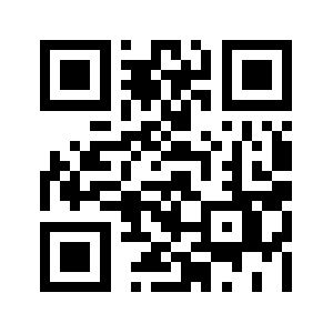 Max-value.biz QR code