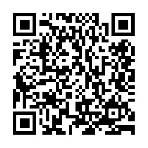 Maybebraveorjustinsaneproductions.com QR code