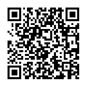 Mayweathervsmcgregor-livestream.net QR code