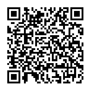 Mcginnisnmmvdpracticeknowledgewrittentest.com QR code