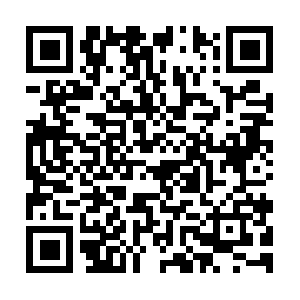 Mchenrycountypropertytaxappeals.net QR code