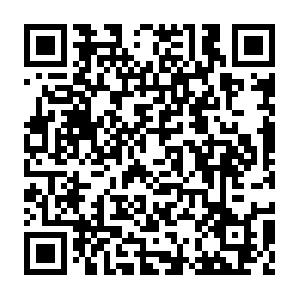 Media.fjog3-1.fna.whatsapp.net.www.tendawifi.com QR code