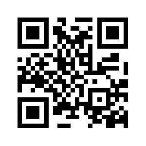 Meerutfine.com QR code