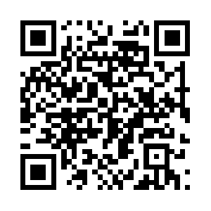 Meetinglillemetropole.com QR code