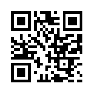 Megasurfs.com QR code