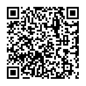 Membersarea.live.dob.sibl.support-intelligence.net QR code