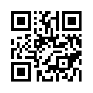 Metinselvi.com QR code