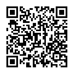 Mhofman1-dudtest--20171108-04-100-kns-066.com QR code