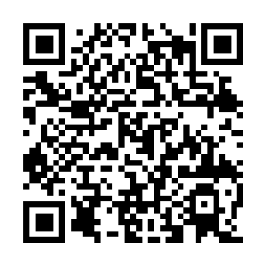 Michaelwaddellbonecollectorseasonings.com QR code